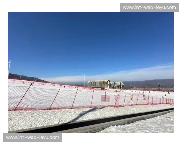 滑雪预测——把握雪道上的每一次心跳